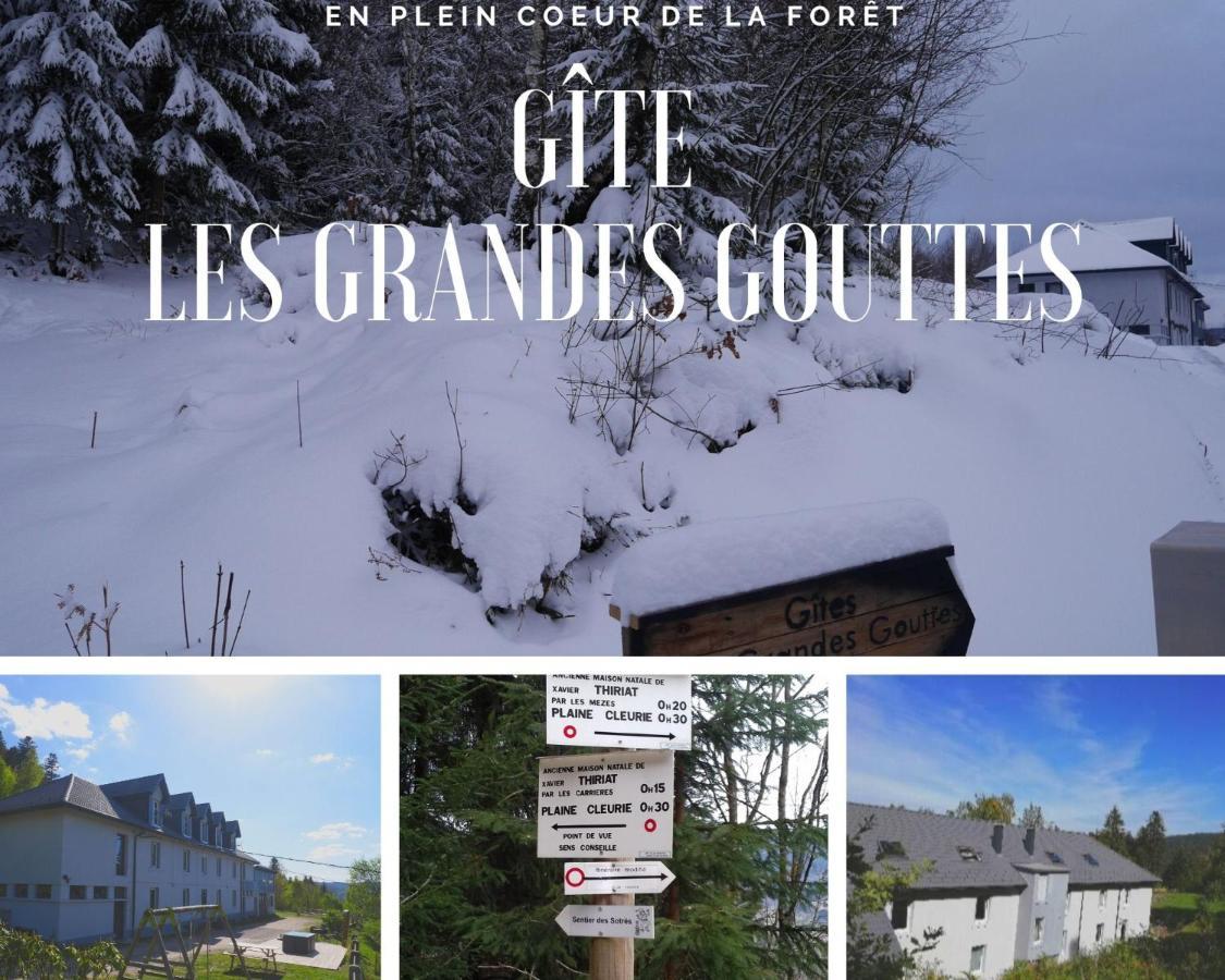 Gites Les Grandes Gouttes Le Syndicat エクステリア 写真